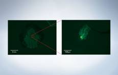 C:UserscyxAppDataRoamingTencentQQTempTempPic]$39ZIMP919R~ZM(XGO}J6J.tmp