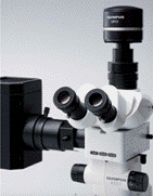 C:UserscyxAppDataRoamingTencentQQTempTempPicDKISB)OP7[3UAQJGPIT0H%7.tmp