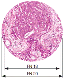 C:UserscyxAppDataLocalMicrosoftWindowsTemporary Internet FilesContent.IE5O5R227NU151104035551497730g3zgj[1].png