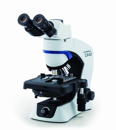 1550561528949330.jpg 图片4.jpg